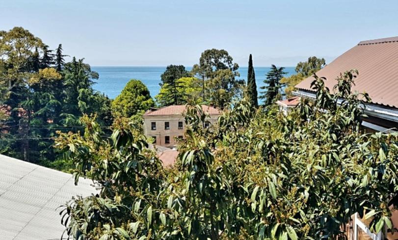 Эко-Отель Гагра Gagra Exteriér fotografie